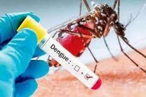 बाराबंकी: हैदरगढ़ के कई वार्डों में फैला डेंगू, दर्जनों बीमार