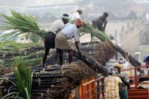 डीएम का आदेश : गन्ना समिति की जमीन बेचने वाले 100 किसानों पर चलेगा मुकदमा