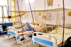 मुरादाबाद : जिले में बढ़ रहे डेंगू-मलेरिया के मरीज, नियंत्रण के उपाय नदारद