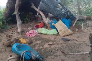 बहराइच : गांव में हाथियों के झुंड ने मचाया उत्पात, मकान गिराया