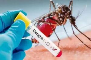 बढ़ेगी ठंड तो कमजोर होगा डेंगू का डंक, तापमान घटने से घटेगा संक्रमण- विशेषज्ञ