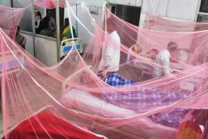 बरेली: 41 गांवों में डेंगू का प्रकोप, संदिग्ध बुखार से हो रहीं मौतें
