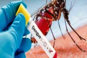 बरेली: डेंगू के मामले 400 के पार, अब स्कूलों में चलेगा लार्वा सर्च अभियान