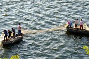 श्रीलंकाई नौसेना ने 24 भारतीय मछुआरों को किया गिरफ्तार 