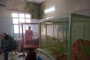 बहराइच: गांव में भी तेजी से फैल रहा डेंगू, शिक्षक समेत 10 लोगों की रिपोर्ट आई पॉजिटिव