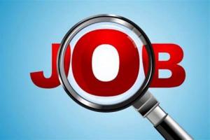 देहरादून: अब ऑनलाइन आवेदन करने पर युवाओं को मिलेगी संविदा नौकरी