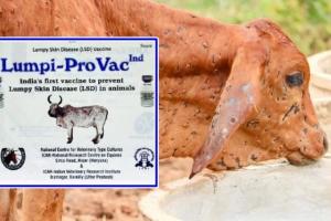 'लंपी-प्रोवैक' टीके के व्यावसायिक उत्पादन के लिए आईवीबीपी के साथ समझौता