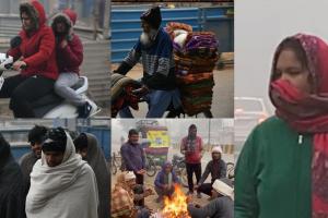 दिल्ली-NCR में सर्दी का सितम जारी, लखनऊ, बरेली समेत यूपी के कई जिले घने कोहरे से ढके, देखें Photos
