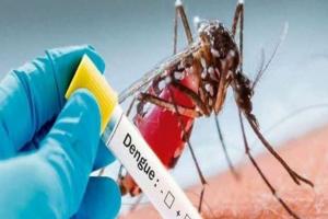 बरेली: डेंगू का आंकड़ा 450 के करीब, कागजों में संचारी रोग अभियान