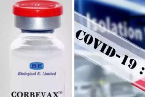 कोविशील्ड टीका लगवाने लोगों में कोर्बेवैक्स की बूस्टर खुराक सफल साबित हुई: अध्ययन