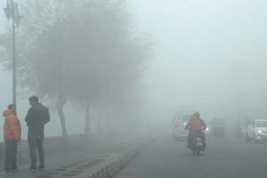 शीतलहर से गंभीर शीतलहर के हालात बने, उत्तर भारत के शहरों की सूची जारी करते हुए IMD