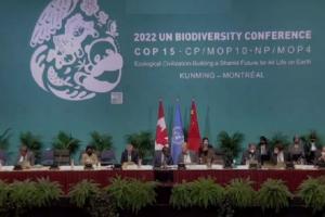 COP-15 जैव विविधता सम्मेलन के लिए मॉन्ट्रियल में जुटे विश्व नेता, ऐतिहासिक समझौते को अपनाने की उम्मीद
