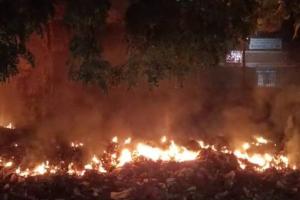 गाजियाबाद: डेयरी में लगी भीषण आग, आठ मवेशियों और डेयरी संचालक की जलकर मौत