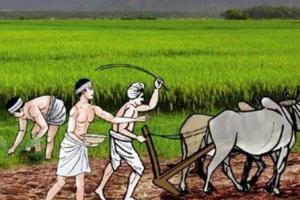 उन्नाव: किसानों के लिये राहत की खबर, जिले में खाद की किल्लत होगी दूर