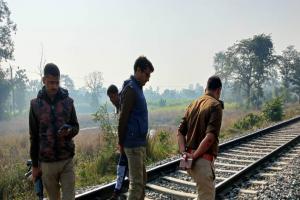 गोंडा: रेलवे ट्रैक पर मिला महिला का क्षत-विक्षत शव, शिनाख्त में जुटी पुलिस
