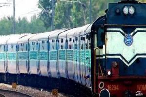 बलरामपुर में ट्रेनों की चपेट में आने से 90 भेड़ों, आठ गिद्धों की मौत 