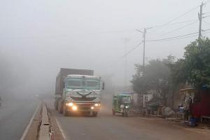 Kanpur Today Weather : घना कोहरा छाने से छाया सन्नाटा, ठंड बढ़ने से सड़कों पर कम लोग आ रहे नजर