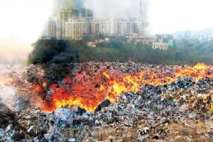 टीटीजेड प्राधिकरण की रिपोर्ट में खुलासा :  कचरा जलाने में मथुरा अव्वल, आगरा में तीन पर मुकदमा दर्ज