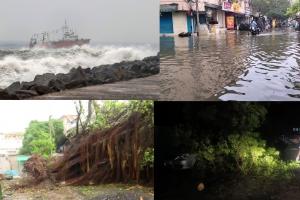 Cyclone Mandous  : 'मैंडूस' ने तमिलनाडु में मचाई तबाही, बारिश..तेज हवाएं..पेड़ टूटे, कई घरों की छतें उड़ीं, स्कूल-कॉलेज बंद