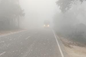 रायबरेली : कोहरे  ने बढ़ाई ठिठुरन, छाई रही धुंध