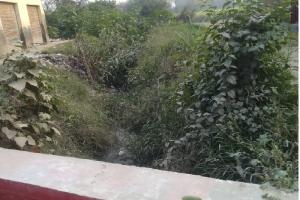 अयोध्या : माइनर में पानी की जगह झाड़ झंखाड़, कैसे हो खेतों की सिंचाई
