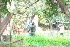 बलिया : मकान में शवों को छिपाने के लिए लगा दिए गए पेड़