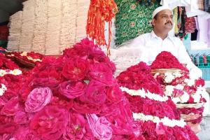 राजस्थान : पुष्कर के गुलाब के फूलों की ख्वाजा की दरगाह में पहुंची महक 