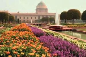 मुगल गार्डन का बदला नाम, अमृत उद्यान होगी नई पहचान, स्वतंत्र देव बोले- यही तो है वोट की ताकत