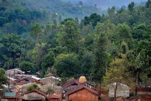 असम: लखीमपुर में 500 हेक्टेयर वन भूमि को खाली कराने के लिए चलेगा अभियान: अधिकारी