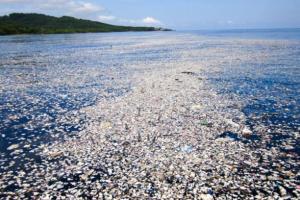 समुद्र तट पर कचरे का अंबार की समस्या से जूझ रहा नाइजीरिया: अध्ययन