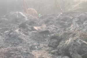 Sultanpur News: पशुशाला में लगी आग, तीन मवेशियों की मौत, चार गंभीर रूप से झुलसे