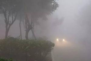 UP Weather Update: राजधानी लखनऊ समते प्रदेश के कई जिलों में छाया घना कोहरा, यलो अलर्ट जारी