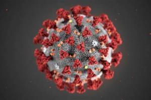 देहरादून: जीनोम सिक्वेंसिंग के 14 सैंपलों में नहीं हुई बीएफ-7 वायरस की पुष्टि