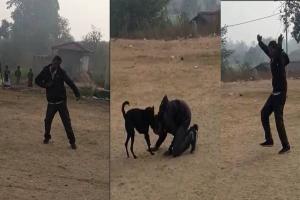 Video: शराब के नशे में धुत गुरुजी ने देशभक्ति गाने पर किया बेहतरीन डांस, कुत्ते ने दिया साथ, वीडियो वायरल