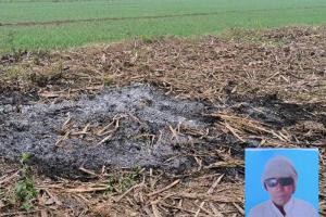 बरेली : जानवरों से फसल बचाने के लिए ठंड से बचाव करने के दौरान किसान की मौत