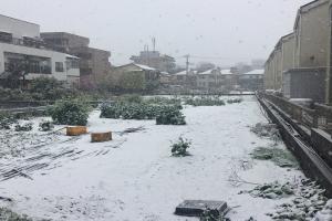 जापान में Heavy Snowfall से तीन लोगों की मौत, जनजीवन हुआ प्रभावित 