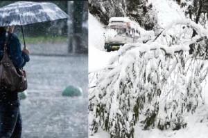 देहरादून: अगले तीन दिनों में बारिश व भारी बर्फबारी की चेतावनी, इन दो जिलों में छाएगा कोहरा