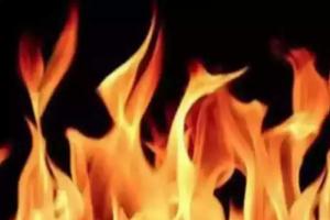 Breaking News: नोएडा में मोबाइल टावर में लगी भीषण आग, बंद कराया गया Market