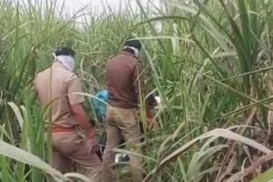 आगरा: लापता युवती का खेत में पड़ा मिला शव, जांच में जुटी पुलिस   
