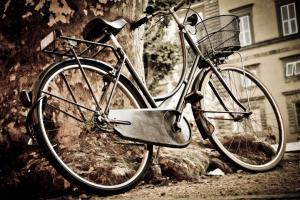 नैनीताल: माल रोड से साइकिल चोरी करने वाले तीन आरोपियों को भेजा जेल