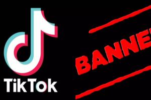 TikTok Ban : अमेरिका में सरकारी उपकरणों, कनाडा में सरकारी फोन में टिकटॉक पर प्रतिबंध 