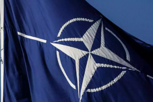  NATO की वेबसाइटों पर साइबर हमले, कई Website हैक