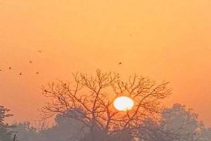 Kanpur Weather Today : फरवरी के पहले सप्ताह में पारा 30 के पार, धूप निकलने से दिन में होने लगी गर्मी