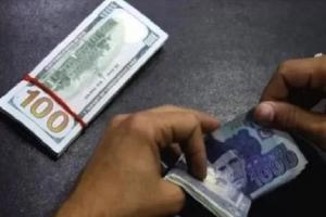 विदेशी मुद्रा भंडार 16.1 फीसदी की तीव्र गिरावट के साथ 10 साल के निचले स्तर पर पाकिस्तान, बची सिर्फ 3 हफ्ते की आयात की  Foreign Currency