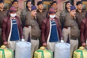 रामनगरः 33 किलो गांजे के साथ 25 हजार का इनामी गिरफ्तार  