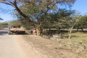 रायबरेली: वन विभाग के बनवाए गए ट्री गार्ड तोड़कर ईंटें चोरी करने का वीडियो वायरल, मचा हड़कंप