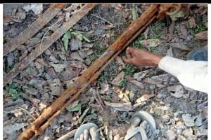 रायबरेली : खोदाई के दौरान पेड़ के नीचे मिली वर्षों पुरानी बंदूक और तलवार, ग्रामीणों की जुटी भीड़, लगाए जा रहे ये कयास