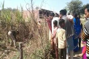 हरदोई : गन्ने के खेत में पड़ा मिला नवजात का शव, पुलिस जांच में जुटी