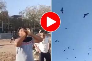 VIDEO : कौओं का राजा है यह शख्स, एक ही आवाज पर आसमान में उमड़ जाता पक्षियों का सैलाब