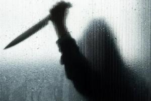 Hardoi Crime News: दिनदहाड़े चालक को चाकू मारकर ई-रिक्शा लूट ले गए बदमाश